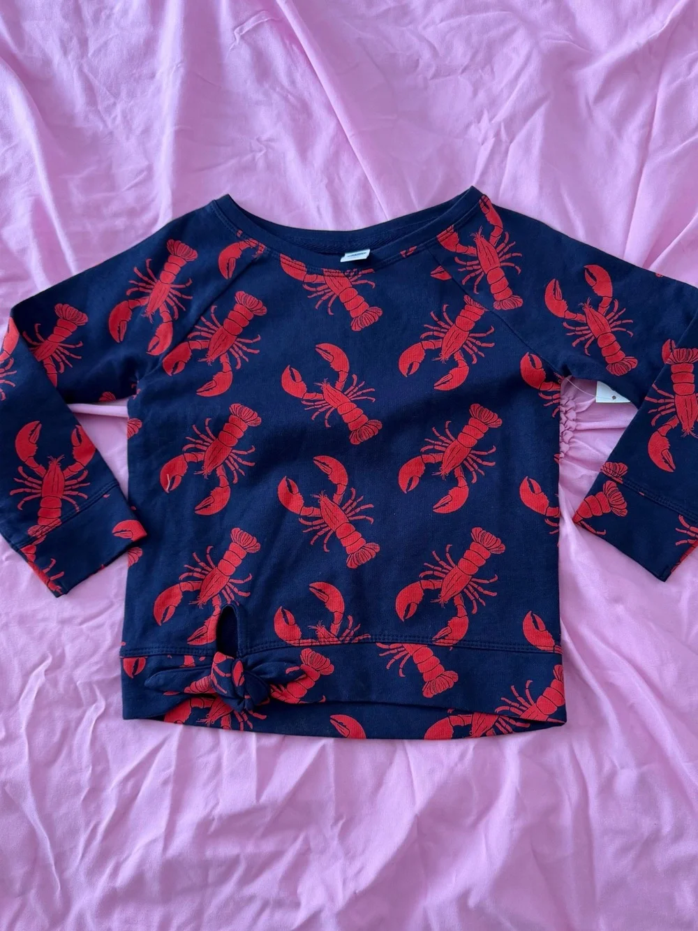 Old Navy Navy Blue Kids Sweatshirt with Red Lobster Print